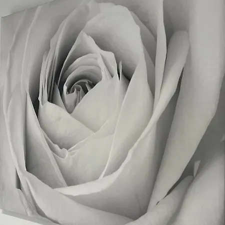 Modern Two Bedroom In Stadio Lejlighed *